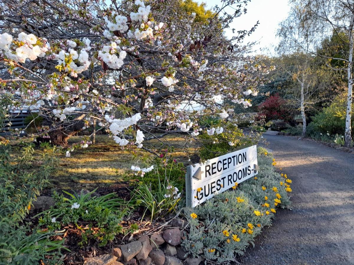 Hillside Bed And Breakfast Huonville Exterior foto