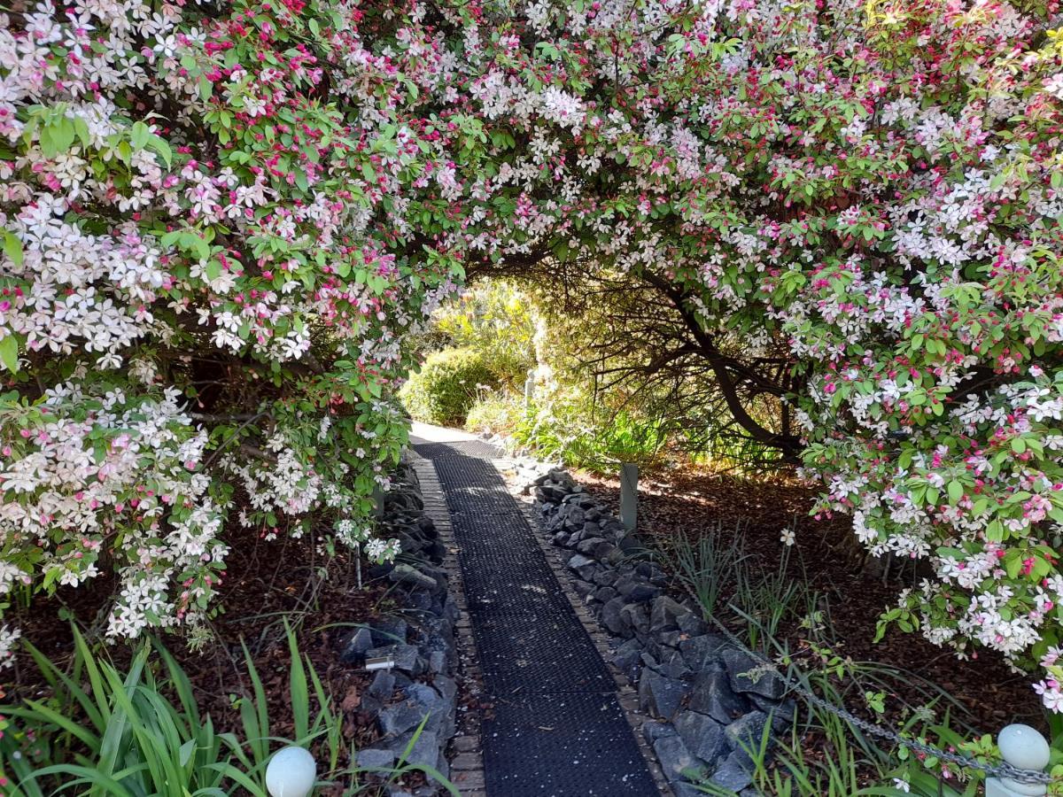 Hillside Bed And Breakfast Huonville Exterior foto