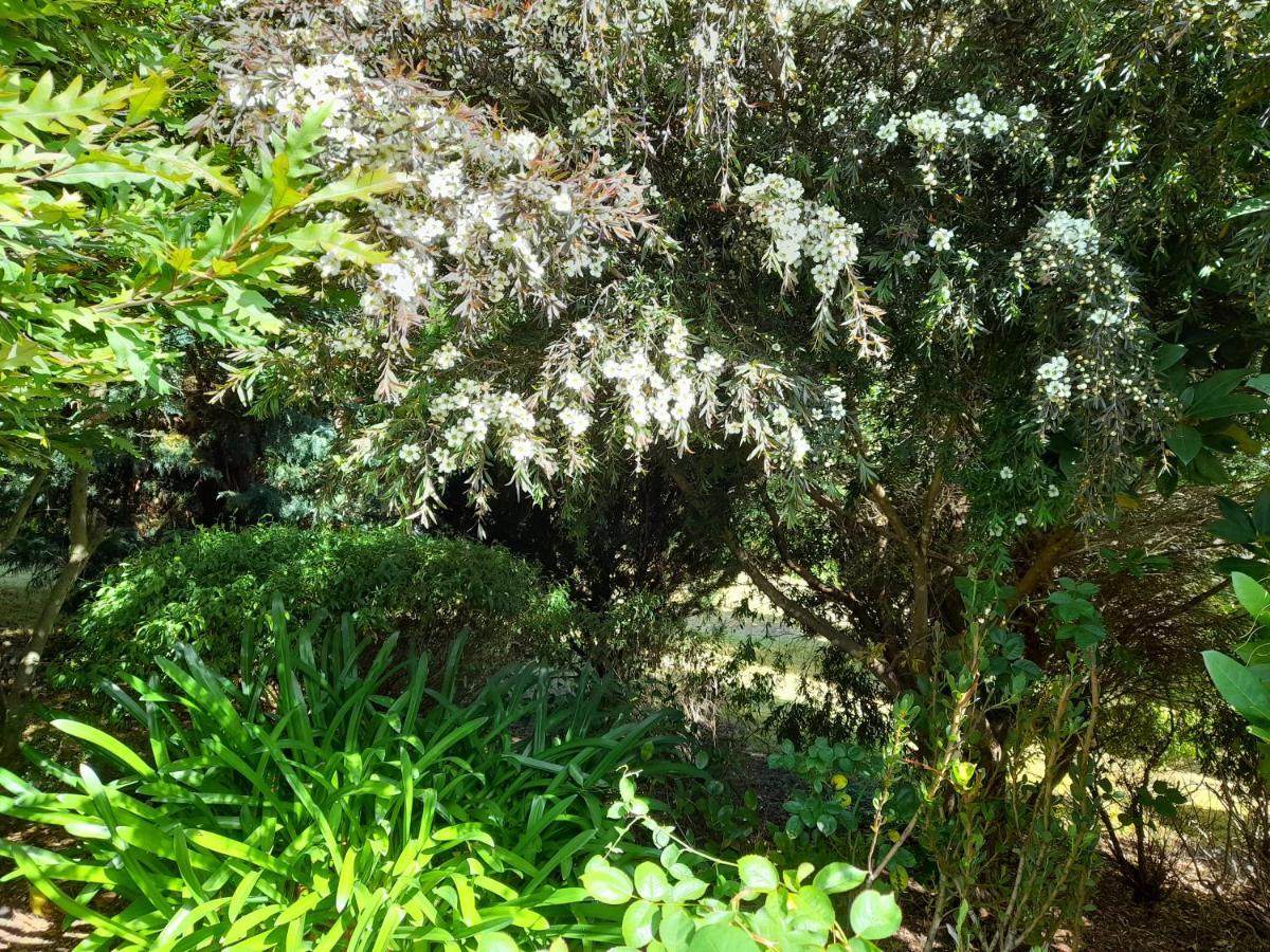 Hillside Bed And Breakfast Huonville Exterior foto
