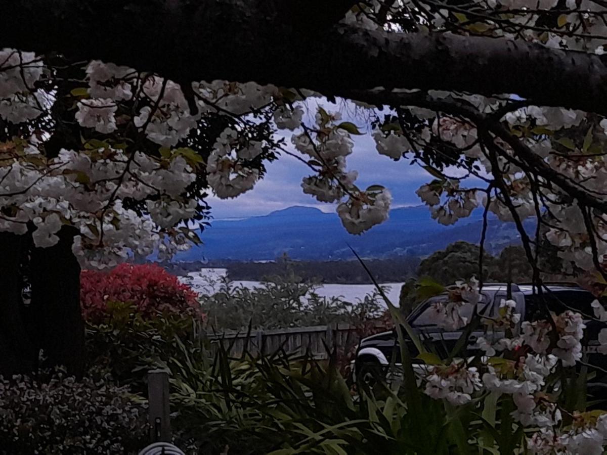 Hillside Bed And Breakfast Huonville Exterior foto