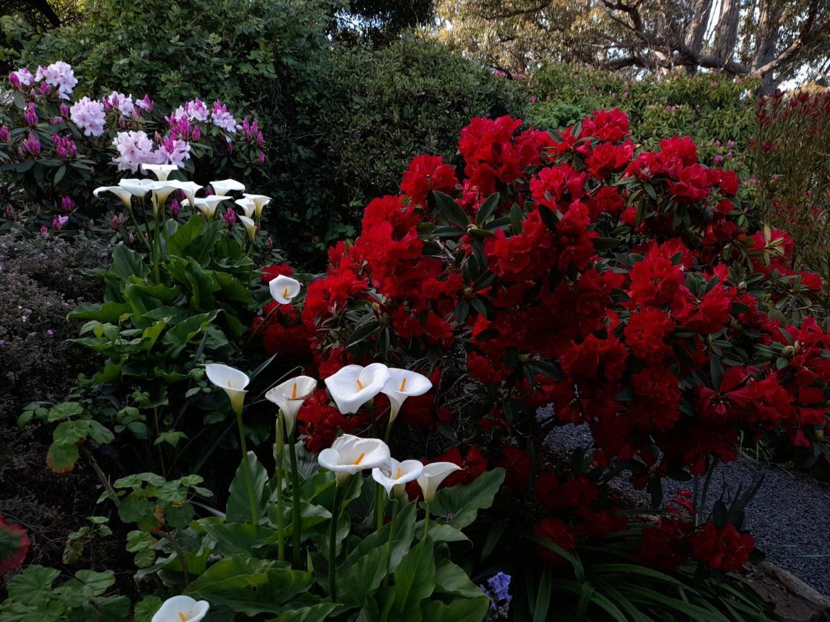Hillside Bed And Breakfast Huonville Exterior foto