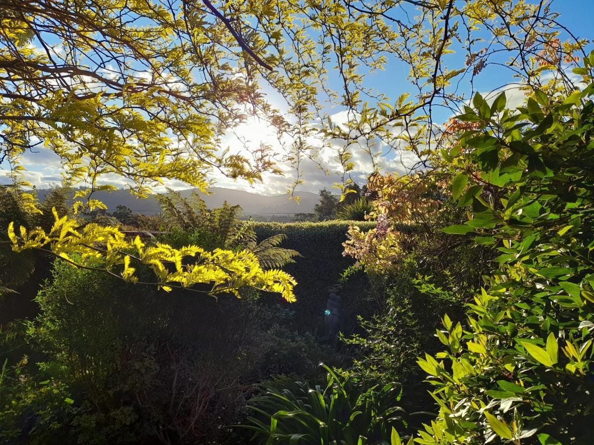 Hillside Bed And Breakfast Huonville Exterior foto