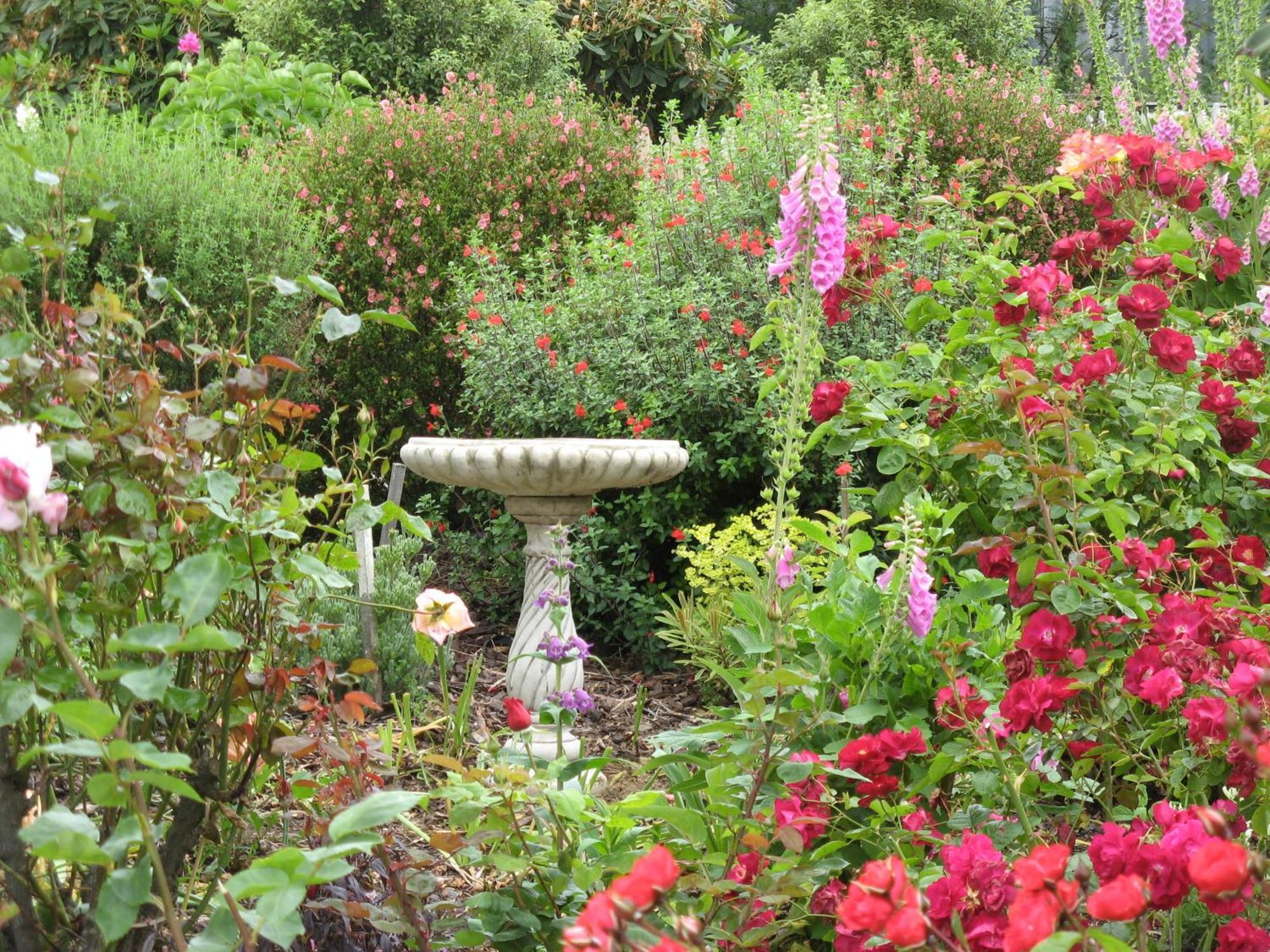 Hillside Bed And Breakfast Huonville Exterior foto
